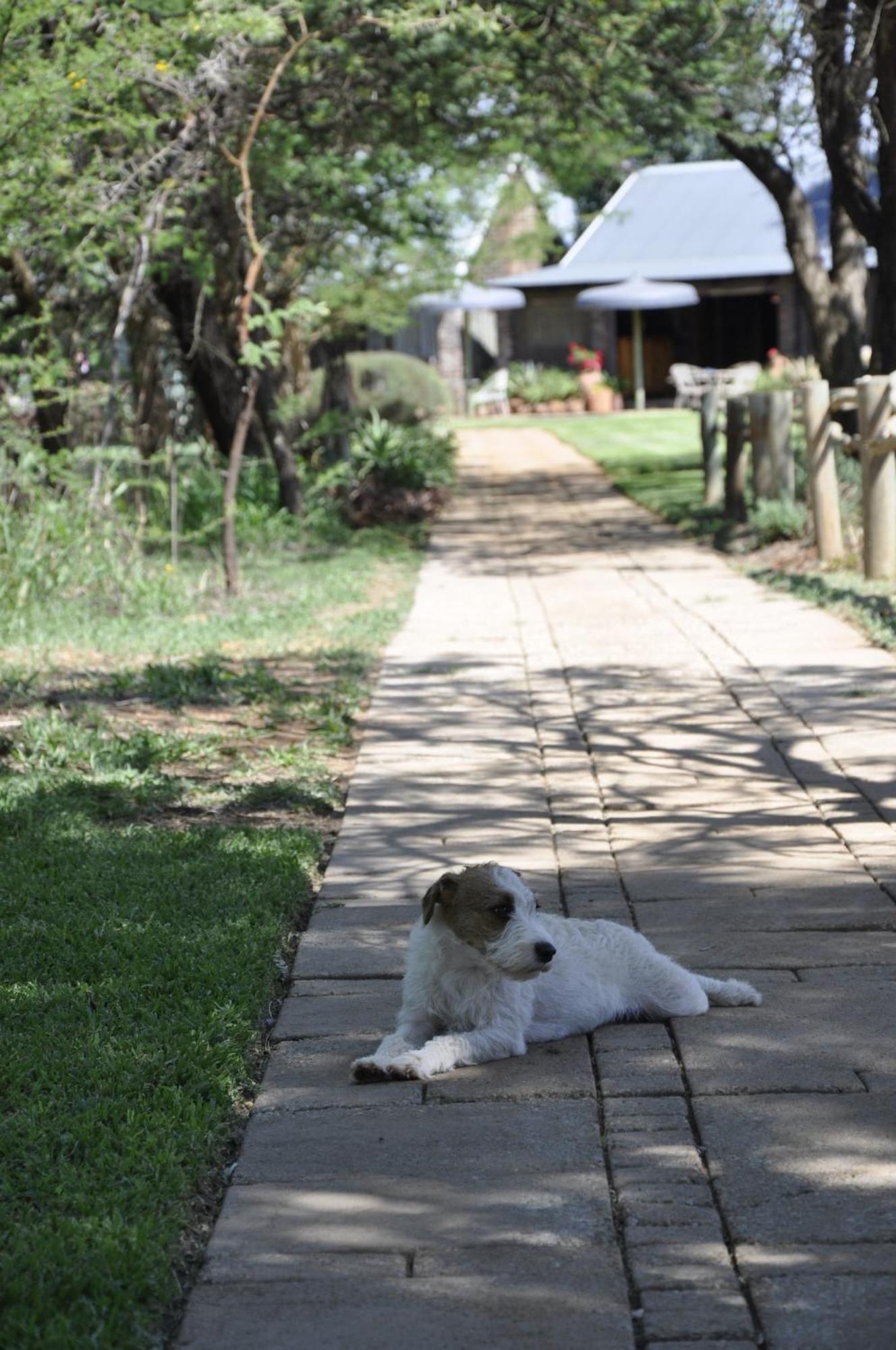 Grincourt B&B- With No Load Shedding Polokwane Kültér fotó