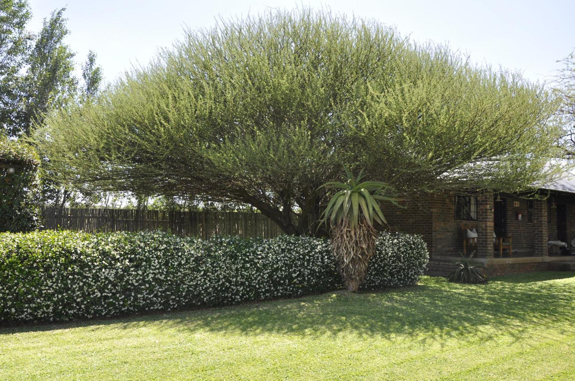 Grincourt B&B- With No Load Shedding Polokwane Kültér fotó